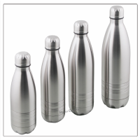 Double Wall Insulated Water Bottle